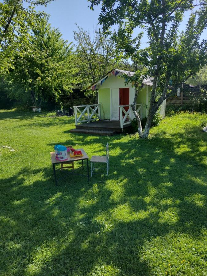 Apartamento Mony Pucón