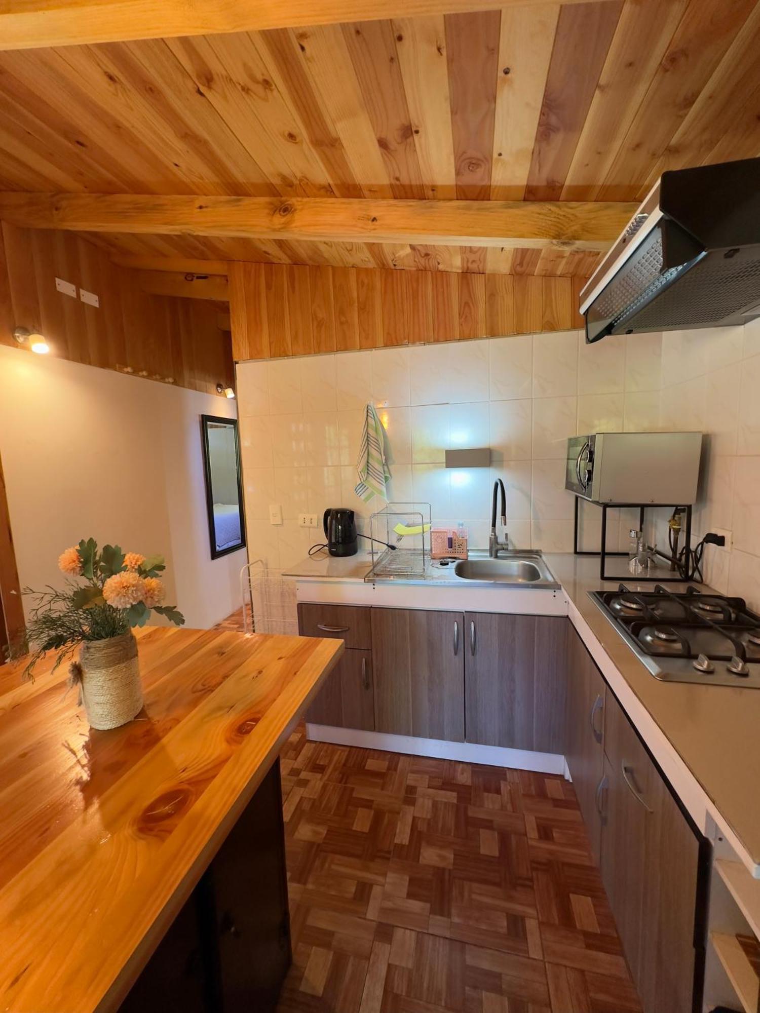 Mony Apartamento Pucón