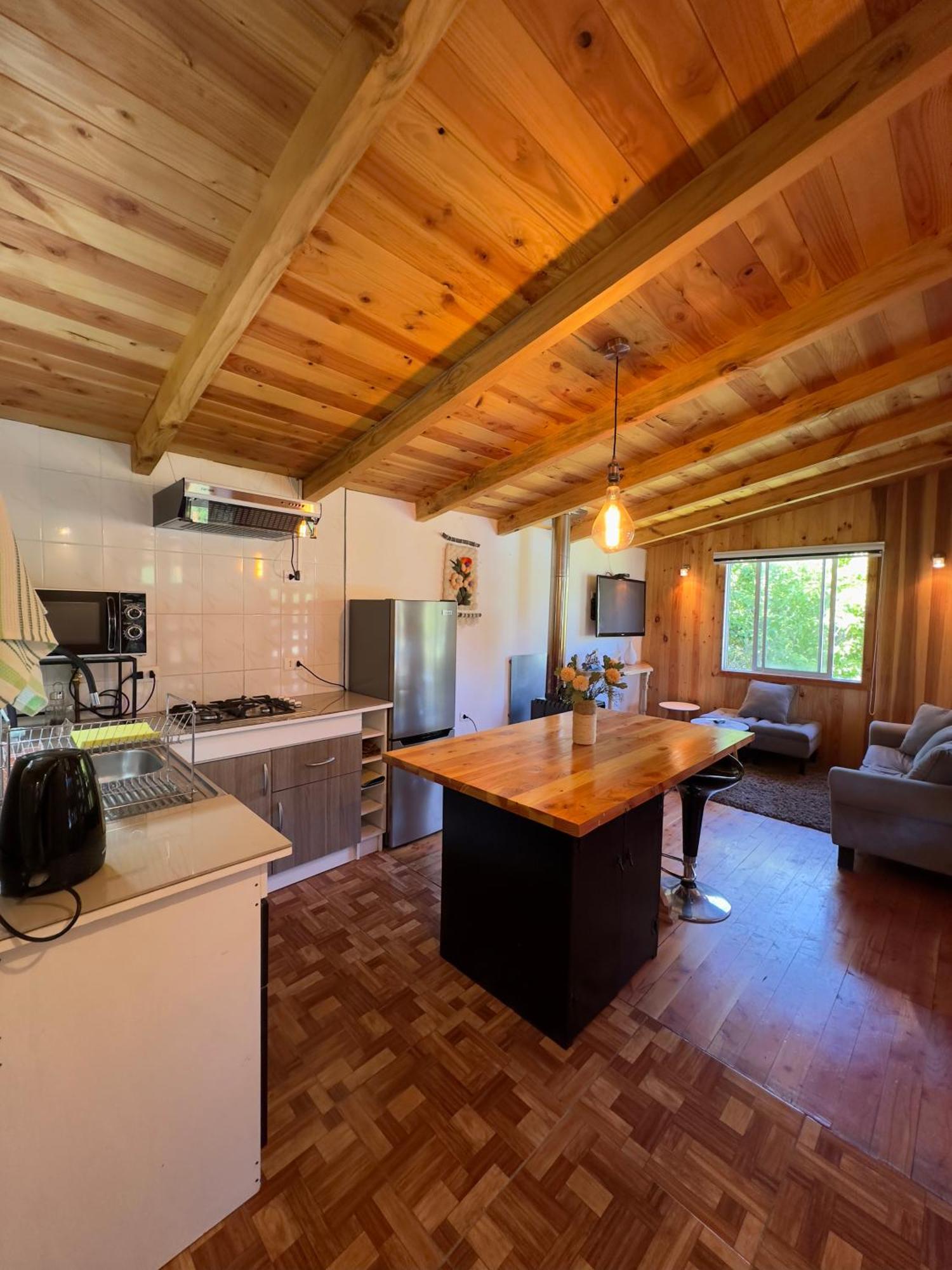 Mony Apartamento Pucón