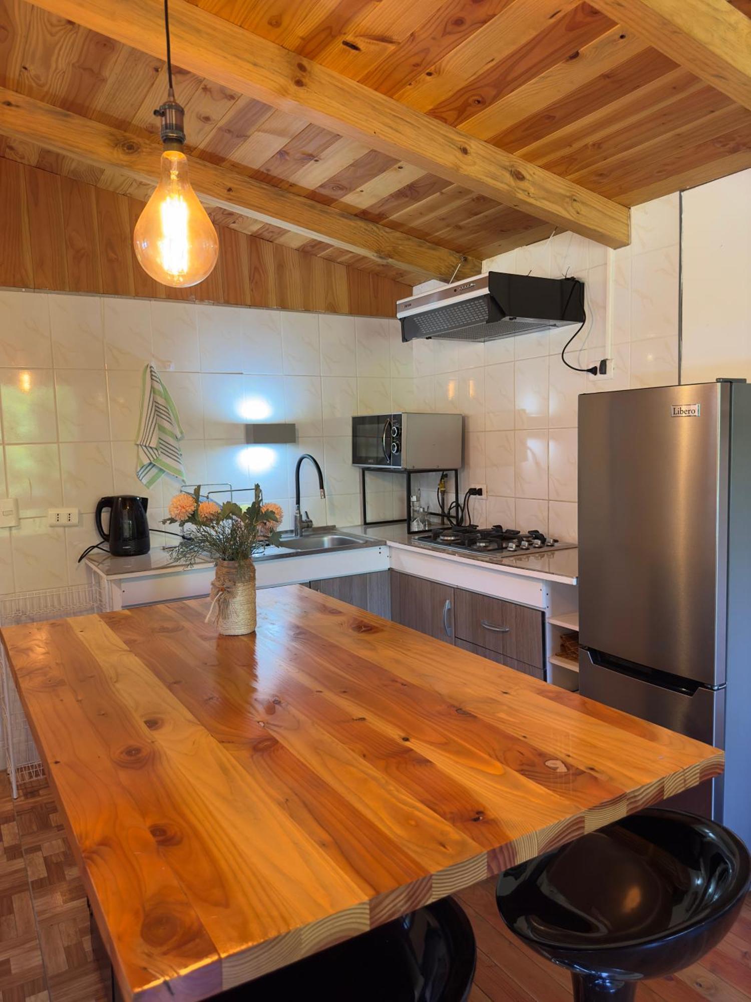Apartamento Mony Pucón